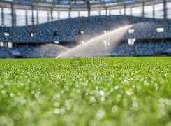 独家揭秘,罗马诺爆料,塞门约解约,AG真人app,AG真人平台,AG真人电子游戏平台