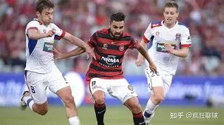 揭秘,塔图姆教练,亲述,AG真人app,AG真人平台,AG真人电子游戏平台