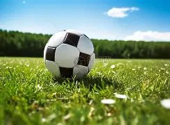 德国名帅毛,雷尔领衔,西海岸球队,AG真人app,AG真人平台,AG真人电子游戏平台