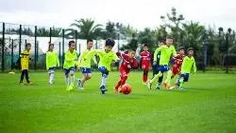 河南队足协杯决赛意外认输，队长态度揭晓引球迷热议！放低姿态背后有何深意？