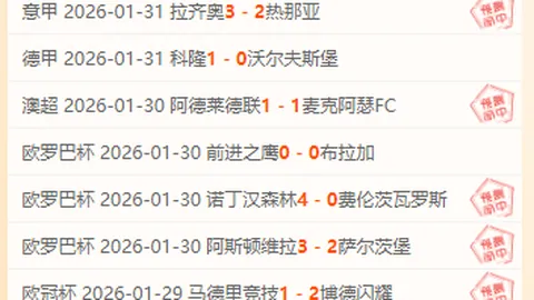 B费独得三球获最佳，莱斯特城对阵曼联展现卓越表现