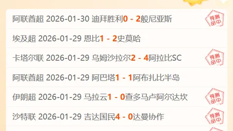 里尔主场优势解析及专家推荐策略