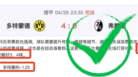 多特蒙德与拜仁慕尼黑平分秋色，凯恩比赛中受伤离场