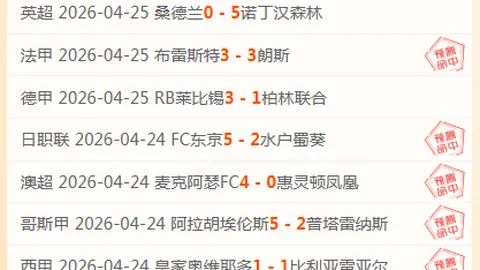杨旭阐述日本足球：训练激情凸显其足球实力强大
